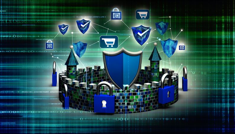 Mitigating the Threat of the Malicious PyPI Package 'disgrasya' in E-commerce