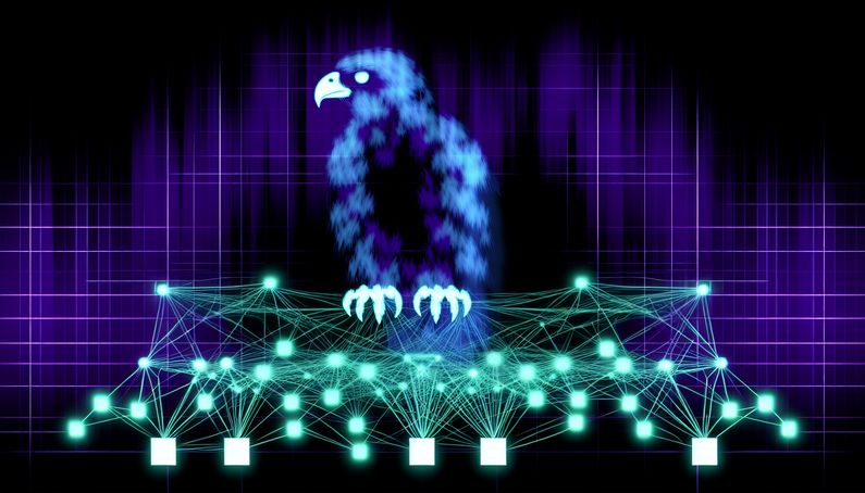 Hazy Hawk: A New Threat in DNS Security